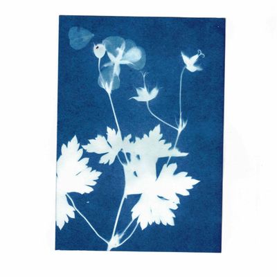 Children's arts and crafts - Sunography - Solar Energy Photography - NOTED