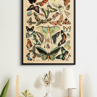 Poster - Vintage Poster Butterflies - Millot - ESQUE