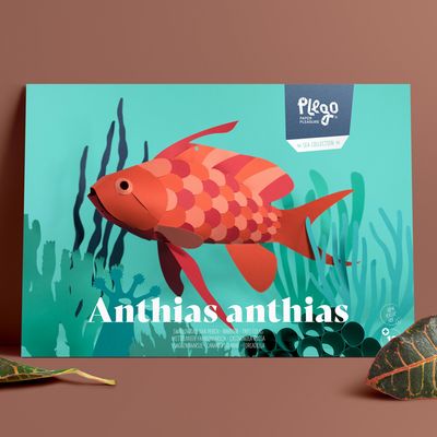 Objets design - Anthias Anthias - PLEGO