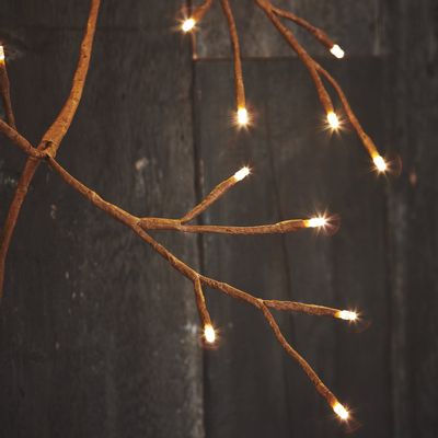 Accessoires de déco extérieure - Ivy / Solar Ivy - LIGHT STYLE LONDON