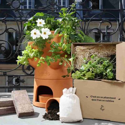 Window boxes - Compost gardener  - CEERCLE