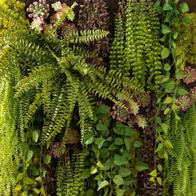 Floral decoration - Artificial green wall - Lou de Castellane - LOU DE CASTELLANE