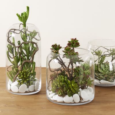 Floral decoration - Terrariums - Lou de Castellane - LOU DE CASTELLANE