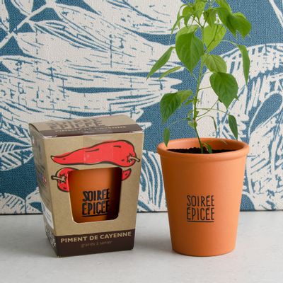 Accessoires de jardinage - Collection message kit with seeds. - RADIS ET CAPUCINE