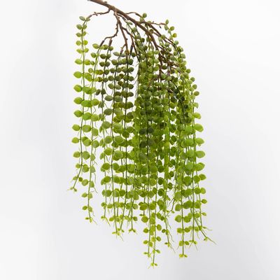 Floral decoration - Fern fall H60 - LOU DE CASTELLANE
