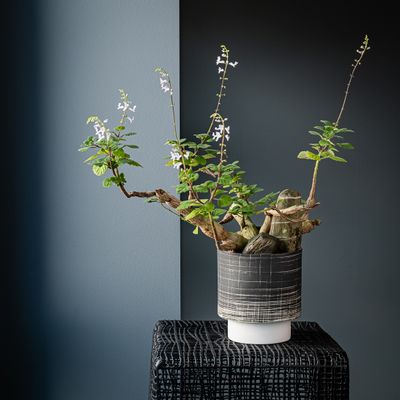 Floral decoration - GRAFFIO vase/planter, retro, black/white, fine lines, striped pattern, handmade - KLATT OBJECTS