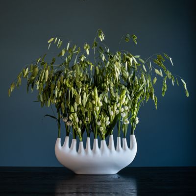 Vases - RHIZOM vase, organic, object, floral, best seller, handmade, bone porcelain - KLATT OBJECTS