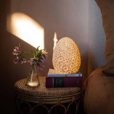 Children's lighting - THE DAISY LAMP™️ - MADE IN SPAIN - GOODNIGHT LIGHT