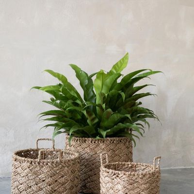 Objets design - The Hoi An Basket - Natural - M - BAZAR BIZAR - DONT USE