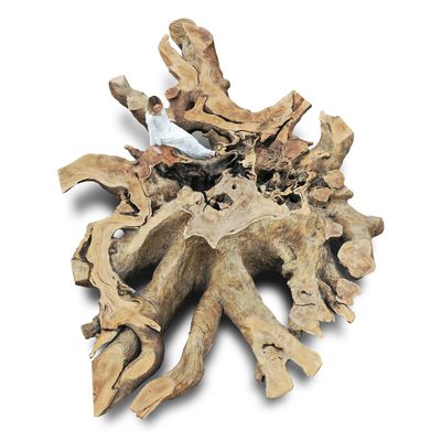Garden accessories - Tupã Tree Root - TORA BRASIL