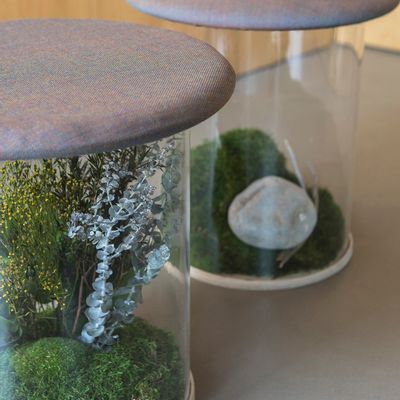 Tabourets pour collectivités - Wild Stool - GREENAREA