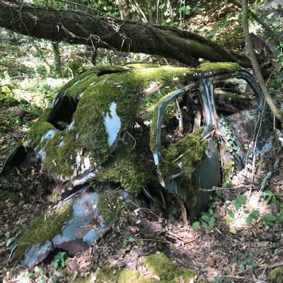 Decorative objects - In the Great Oak - BLANDINE ROSSA DESTOUCHES