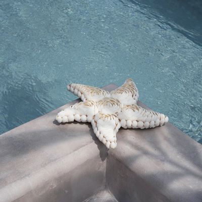 Design objects - The Star Shell - White - L - BAZAR BIZAR LIVING