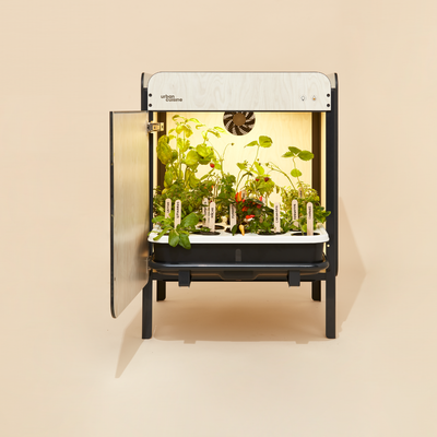 Other smart objects - Liv - URBAN CUISINE