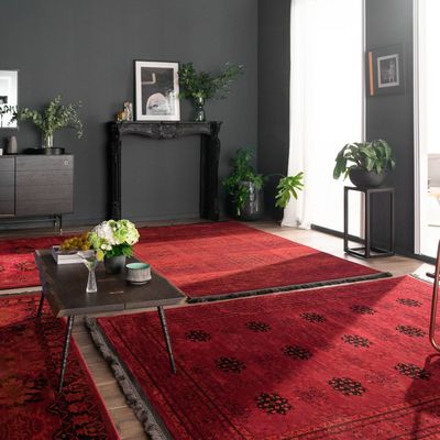 Tapis classiques - Afghan - ROYAL CARPET