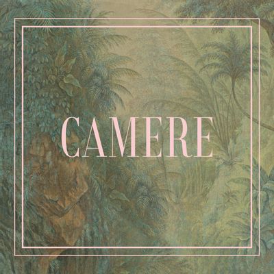 Wallpaper - CAMERE - TEXTURAE