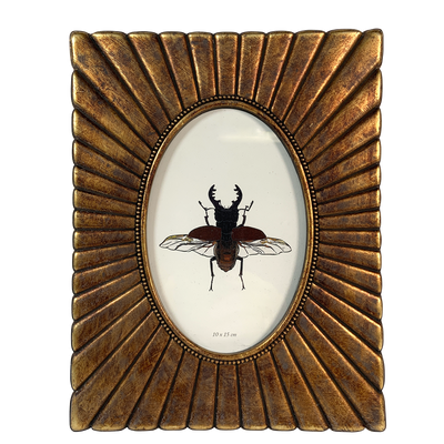 Frames - OVAL VIEW FRAMES - EMDE