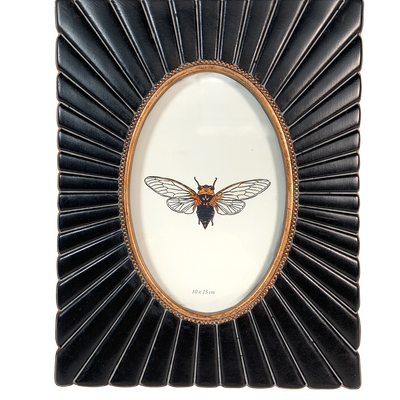 Frames - OVAL VIEW  FRAMES - EMDE