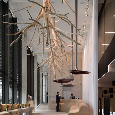 Ensembles muraux - arbre en bois flotté - DECO-NATURE