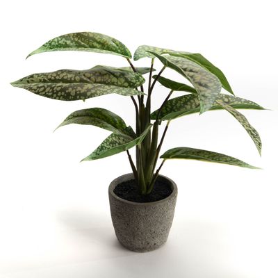 Décorations florales - AGLAONEMA POT H35 - LOU DE CASTELLANE - plantes et fleurs artificielles - LOU DE CASTELLANE