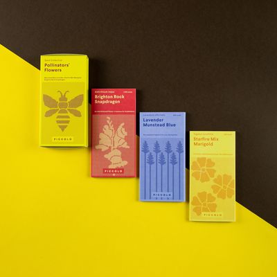 Accessoires de jardinage - Collecte de graines de fleurs pour pollinisateurs - PICCOLO SEEDS SRL