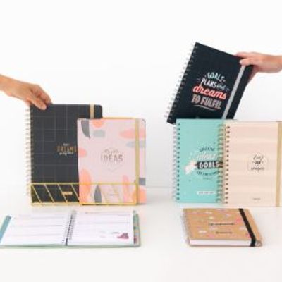 Stationery - Mr. Wonderful 2023/24 Diaries & Calendars - MR. WONDERFUL