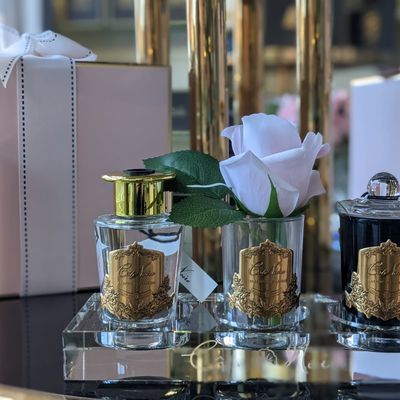 Gifts - COTE NOIRE - GIFT PACK - REINE DE LA NUIT - CÔTE NOIRE