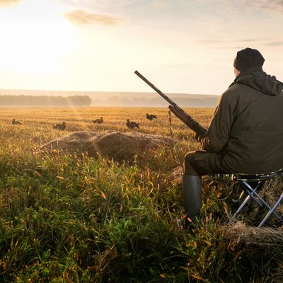 Outdoor space equipments - Heating pad for outdoor and indoor, economical and environmentally friendly. - MENSA HEATING FRANCE