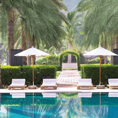 Deck chairs - Belvedere Sunlounger Single Edition - SEORA