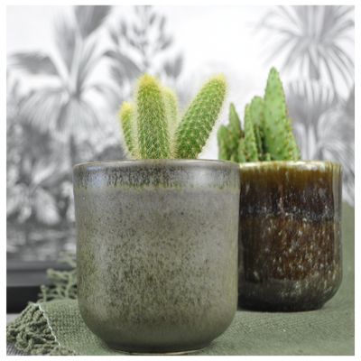 Candles - FIR CANDLE ROUND BOX - NATOÈ FRAGRANCES