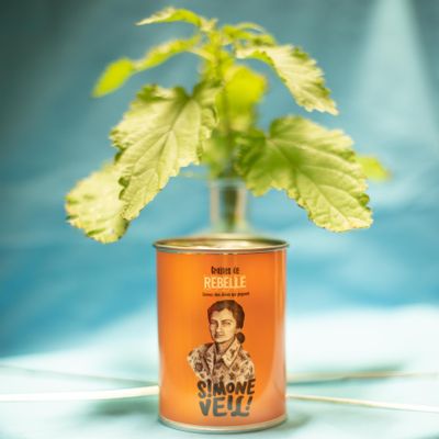 Cadeaux - Kit à semer " Simone Veil" Fabriqué en France en collab avec Arts dans la Peau - MAUVAISES GRAINES