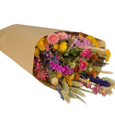 Objets de décoration - Bouquet de Champs - Fleurs sèchées - multicolor – large - PLANTOPHILE