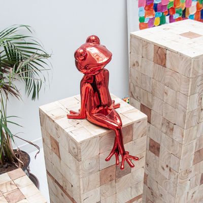Decorative objects - FROG STATUETTE - SO SKIN - IDASY