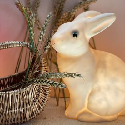 LED modules - 360312 - LAMP RABBIT - EGMONT TOYS