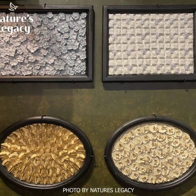 Other wall decoration - Tile decors - NATURE'S LEGACY