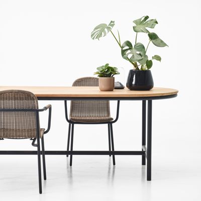 Dining Tables - Wicked Dining Chair - VINCENT SHEPPARD