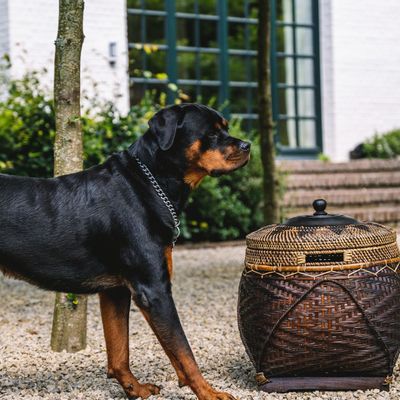 Caskets and boxes - The Colonial Basket - Natural Brown - BAZAR BIZAR LIVING