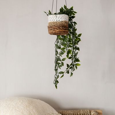 Vases - The Banana Plant Hanger - Natural White - S - BAZAR BIZAR LIVING