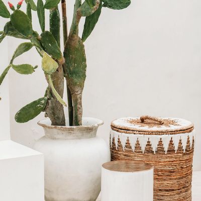 Stools - The Tribe Stool - Natural White - BAZAR BIZAR - COASTAL LIVING