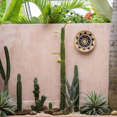 Other wall decoration - The Aztec Plate - Small - BAZAR BIZAR LIVING