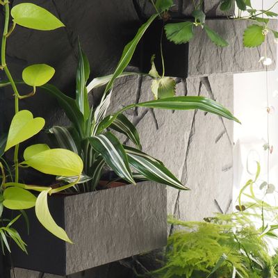 Decorative wall frescoes - Natural slate wall, with inlaid planters, 200/60/3 cm - LE TRÈFLE BLEU