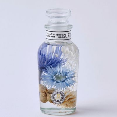 Décorations florales - Herbarium 2021 A (Blue) / BALLON - ABINGPLUS