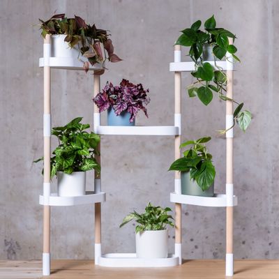 Floral decoration - Modular Plant Shelves: 6-tray version - CITYSENS