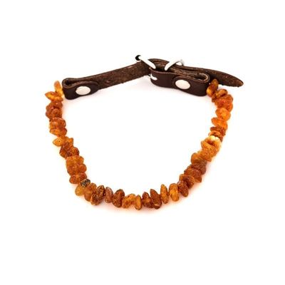 Accessoires animaux - Colliers d'ambre pour chien et chat - OPALOOK