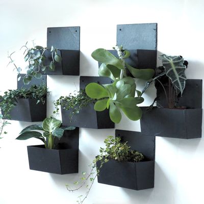 Other wall decoration - CLASSIC square wall planter made of natural slate, - LE TRÈFLE BLEU