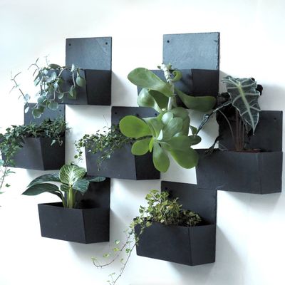 Other wall decoration - Square natural slate wall planter, 25/25/12.5 cm, CLASSIC - LE TRÈFLE BLEU