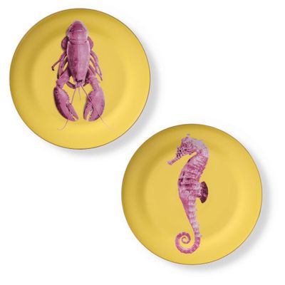 Assiettes au quotidien - Set de 2 - Jeu de Plats de Présentation Bicolore - HOME BY KRISTY