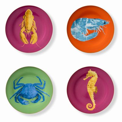 Everyday plates - Set of 4 - Dinner Plates Set Bi-Collor - HOME BY KRISTY