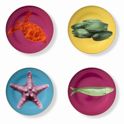 Assiettes au quotidien - Set de 4 - Jeu d’Assiettes Principales Bicolore - HOME BY KRISTY