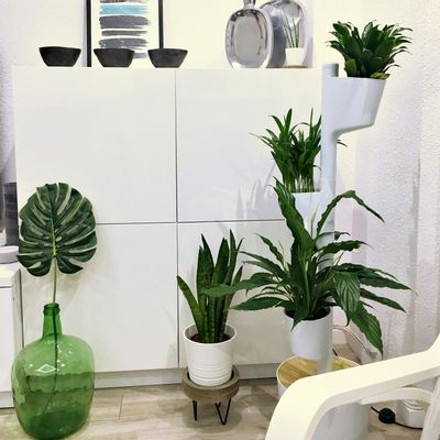 Other smart objects - SMART Self-Watering Vertical Planter compatible with Alexa or Google Assist - CITYSENS